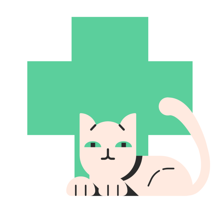 Hospital Price Transparency – The cat is out of the bag